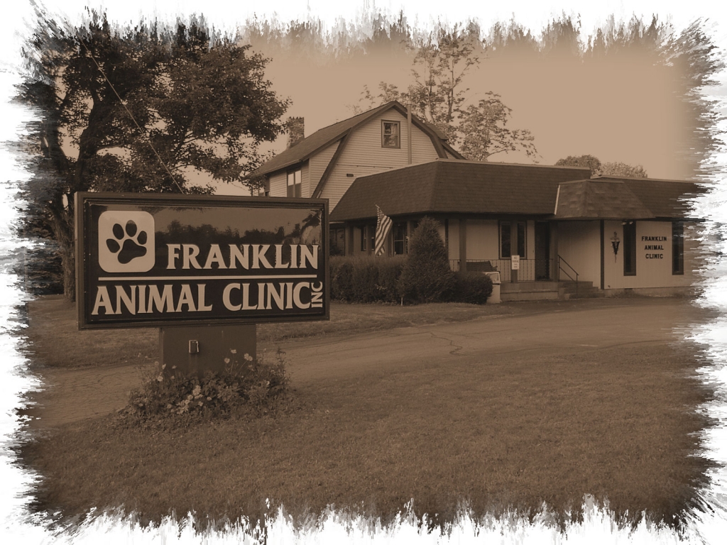 About Us Franklin Animal Clinic Franklin, PA